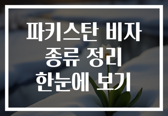 파키스탄 비자 종류 정리 한눈에 보기