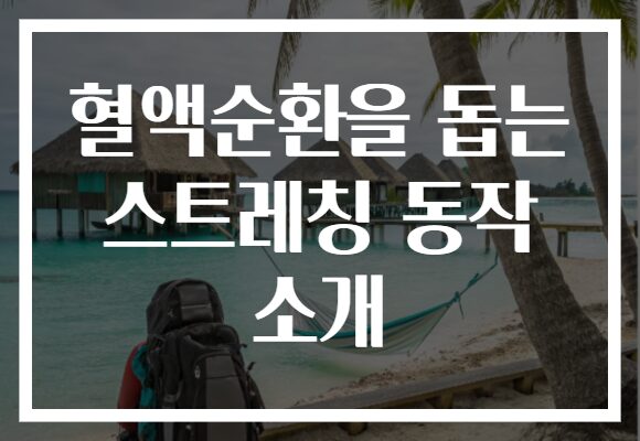 혈액순환을 돕는 스트레칭 동작 소개