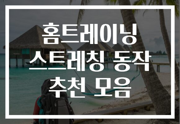 홈트레이닝 스트레칭 동작 추천 모음