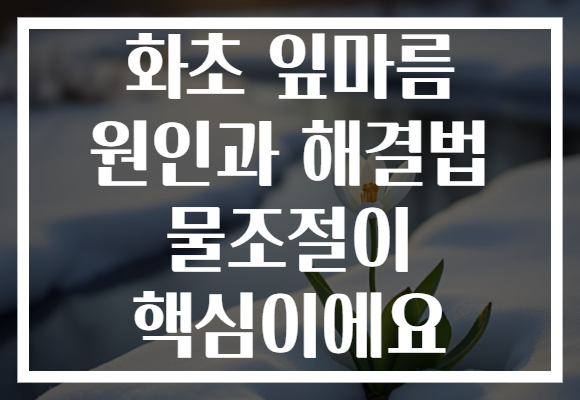 화초 잎마름 원인과 해결법 물조절이 핵심이에요