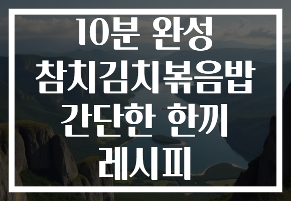 10분 완성 참치김치볶음밥 간단한 한끼 레시피