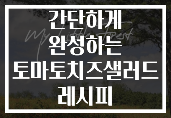 간단하게 완성하는 토마토치즈샐러드 레시피