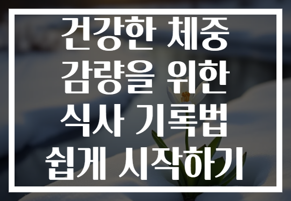 건강한 체중 감량을 위한 식사 기록법 쉽게 시작하기