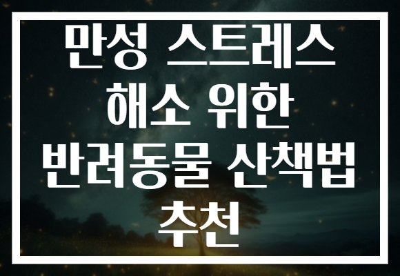 만성 스트레스 해소 위한 반려동물 산책법 추천