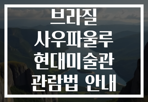 브라질 사우파울루 현대미술관 관람법 안내