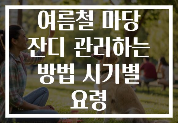 여름철 마당 잔디 관리하는 방법 시기별 요령