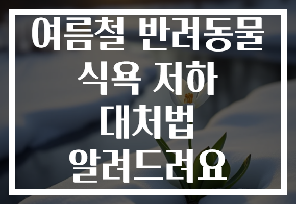 여름철 반려동물 식욕 저하 대처법 알려드려요