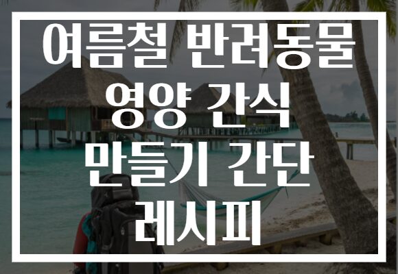 여름철 반려동물 영양 간식 만들기 간단 레시피