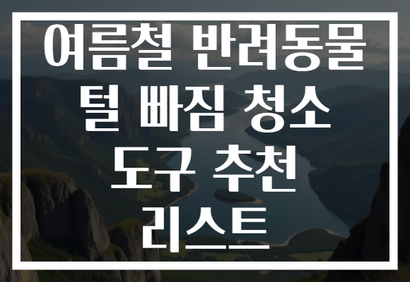 여름철 반려동물 털 빠짐 청소 도구 추천 리스트