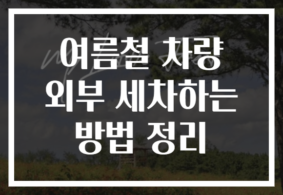 여름철 차량 외부 세차하는 방법 정리