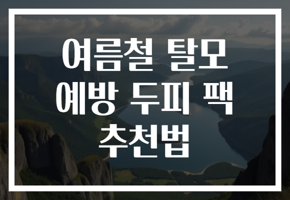 여름철 탈모 예방 두피 팩 추천법
