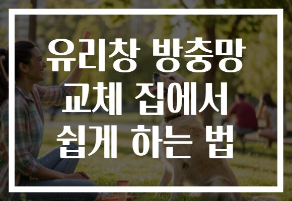 유리창 방충망 교체 집에서 쉽게 하는 법