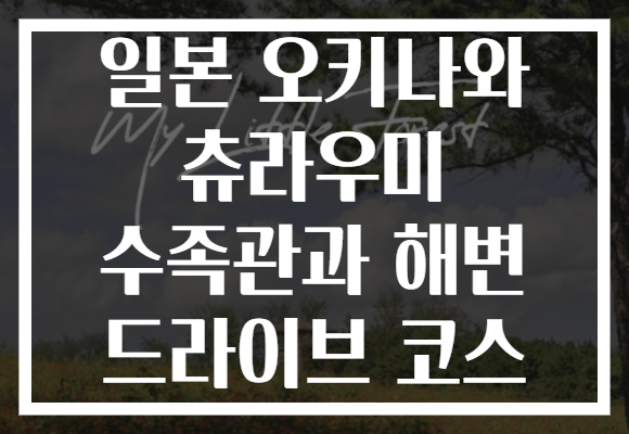 일본 오키나와 츄라우미 수족관과 해변 드라이브 코스