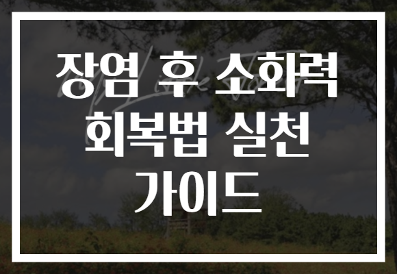 장염 후 소화력 회복법 실천 가이드