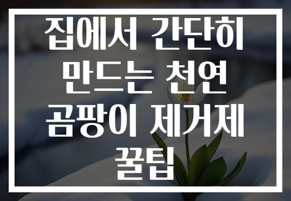 집에서 간단히 만드는 천연 곰팡이 제거제 꿀팁