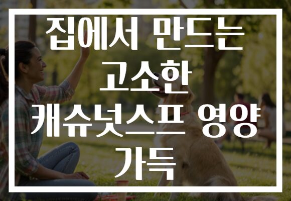 집에서 만드는 고소한 캐슈넛스프 영양 가득