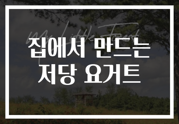 집에서 만드는 저당 요거트