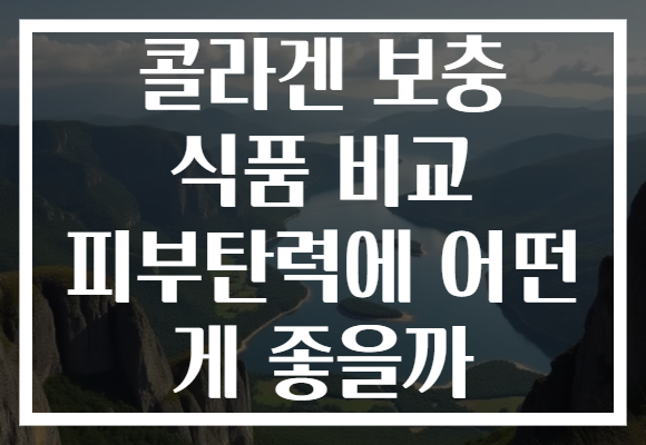 콜라겐 보충 식품 비교 피부탄력에 어떤 게 좋을까