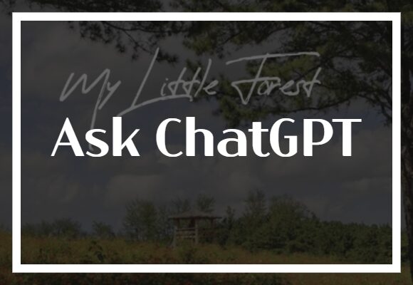 Ask ChatGPT