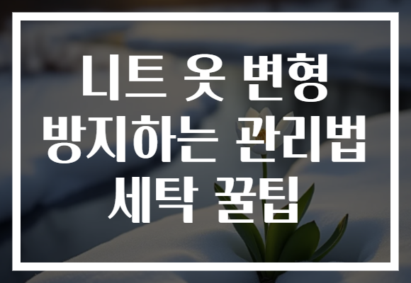 니트 옷 변형 방지하는 관리법 세탁 꿀팁