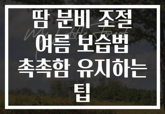 땀 분비 조절 여름 보습법 촉촉함 유지하는 팁
