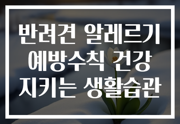반려견 알레르기 예방수칙 건강 지키는 생활습관