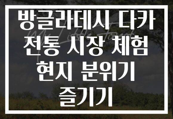 방글라데시 다카 전통 시장 체험 현지 분위기 즐기기