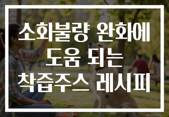 소화불량 완화에 도움 되는 착즙주스 레시피