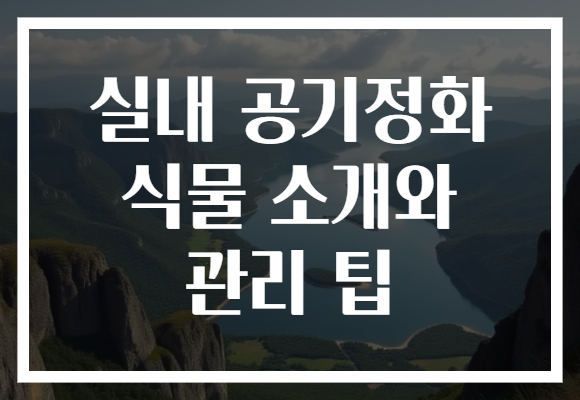 실내 공기정화 식물 소개와 관리 팁