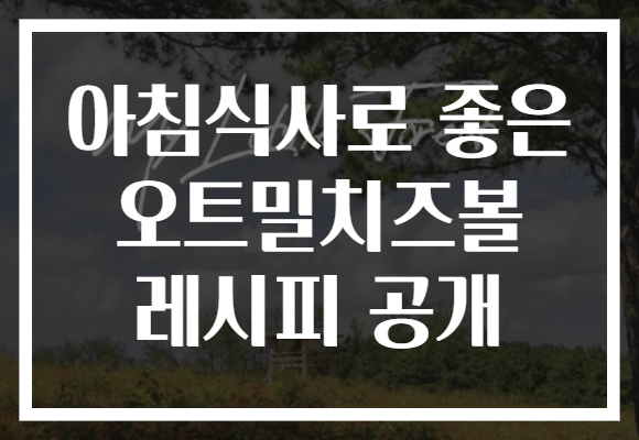 아침식사로 좋은 오트밀치즈볼 레시피 공개