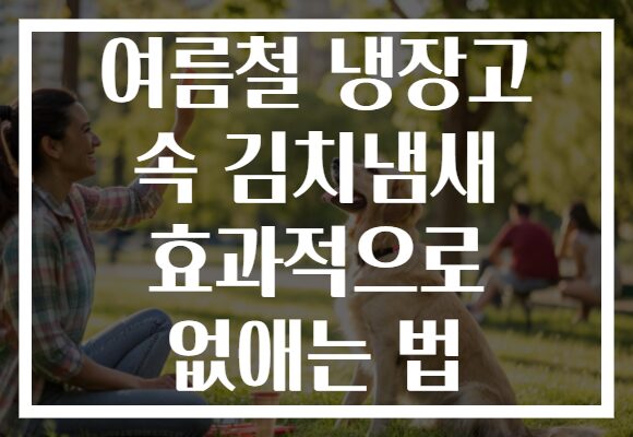 여름철 냉장고 속 김치냄새 효과적으로 없애는 법