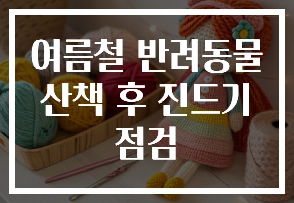 여름철 반려동물 산책 후 진드기 점검