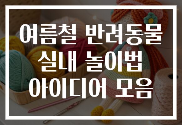 여름철 반려동물 실내 놀이법 아이디어 모음