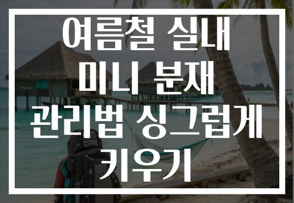 여름철 실내 미니 분재 관리법 싱그럽게 키우기