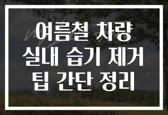여름철 차량 실내 습기 제거 팁 간단 정리