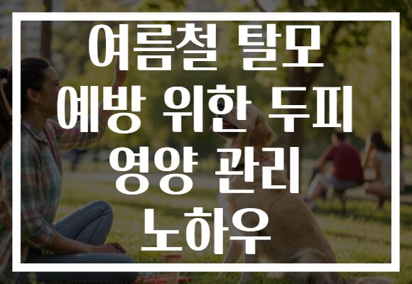 여름철 탈모 예방 위한 두피 영양 관리 노하우