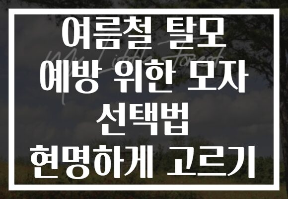 여름철 탈모 예방 위한 모자 선택법 현명하게 고르기