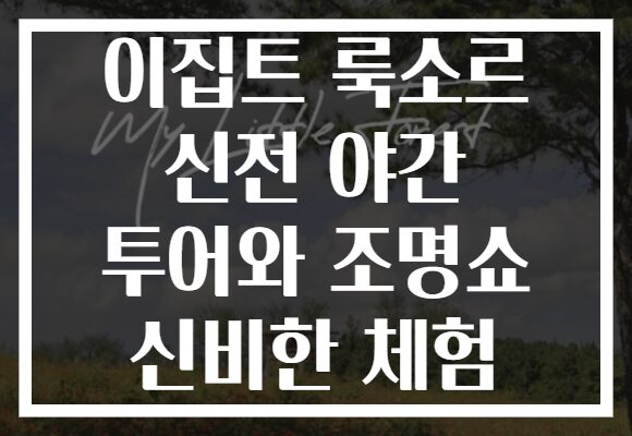 이집트 룩소르 신전 야간 투어와 조명쇼 신비한 체험
