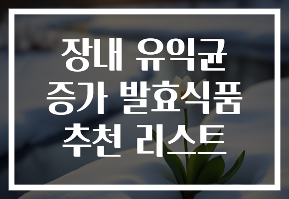 장내 유익균 증가 발효식품 추천 리스트