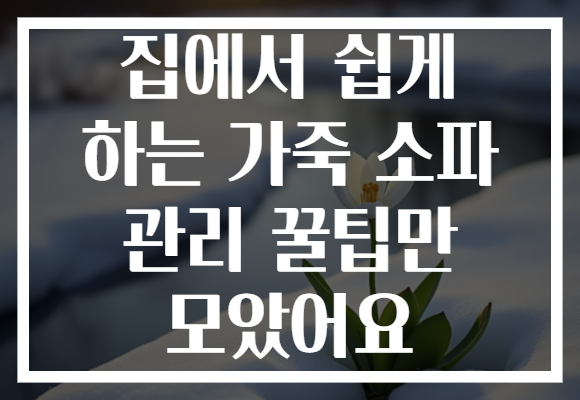 집에서 쉽게 하는 가죽 소파 관리 꿀팁만 모았어요