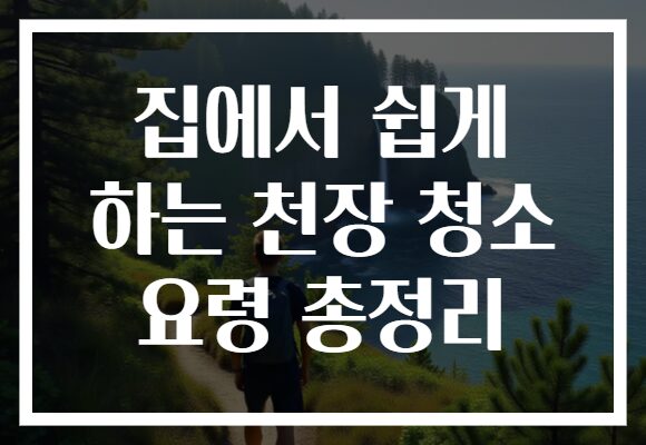 집에서 쉽게 하는 천장 청소 요령 총정리