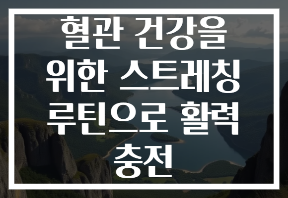 혈관 건강을 위한 스트레칭 루틴으로 활력 충전