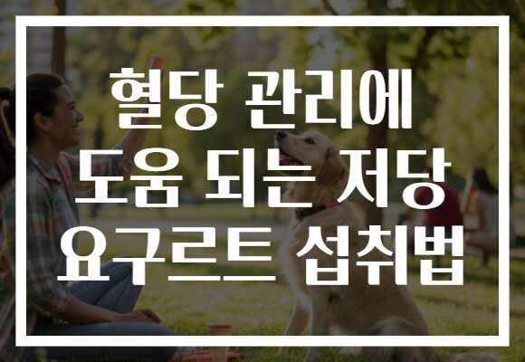 혈당 관리에 도움 되는 저당 요구르트 섭취법