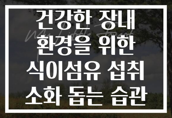 건강한 장내 환경을 위한 식이섬유 섭취 소화 돕는 습관