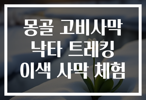 몽골 고비사막 낙타 트레킹 이색 사막 체험 몽골 고비사막 낙타 트레킹 이색 사막 체험