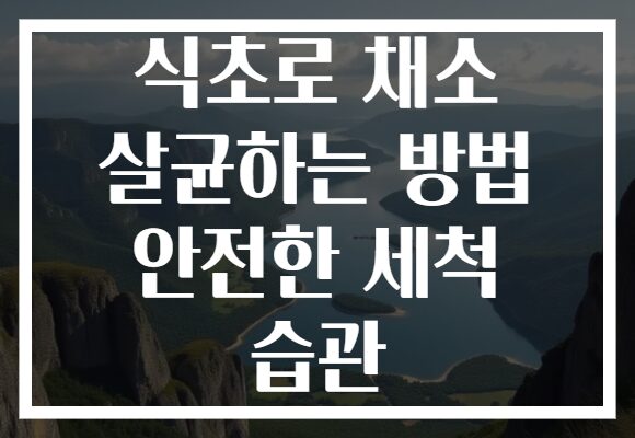 식초로 채소 살균하는 방법 안전한 세척 습관 식초로 채소 살균하는 방법 안전한 세척 습관