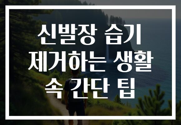 신발장 습기 제거하는 생활 속 간단 팁