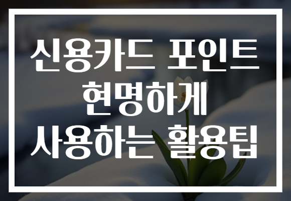 신용카드 포인트 현명하게 사용하는 활용팁