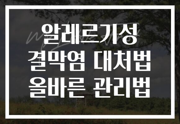 알레르기성 결막염 대처법 올바른 관리법