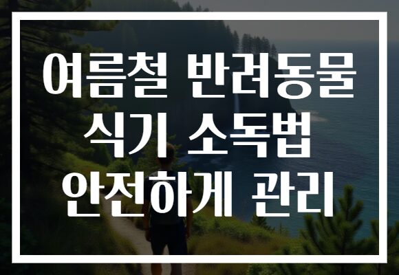여름철 반려동물 식기 소독법 안전하게 관리